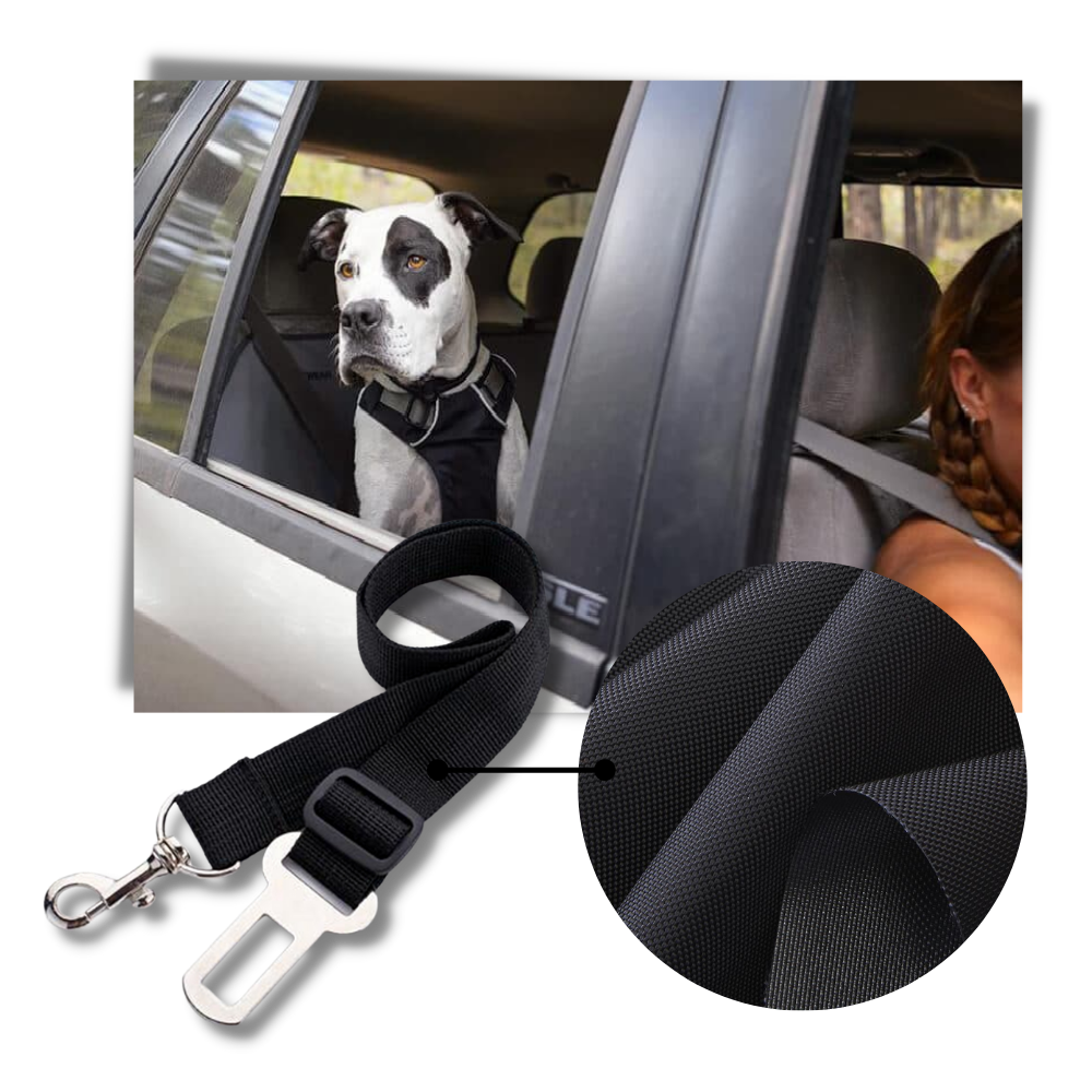 Cinto de segurança ajustável para cães em nylon, acessório para segurança de pets em viagens de carro, marca Egmy