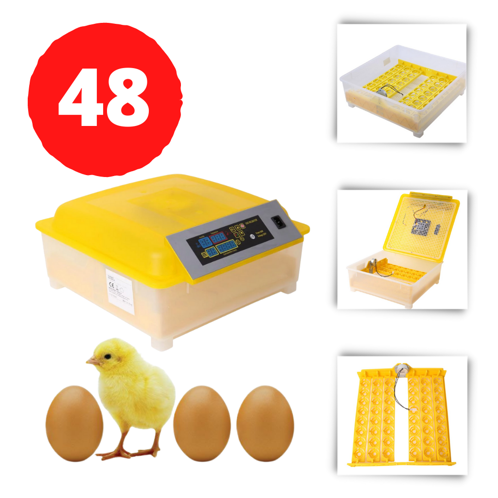 Incubador automático de ovos Yescomusa para 48 ovos, equipamento de criação com controle de temperatura e umidade.
