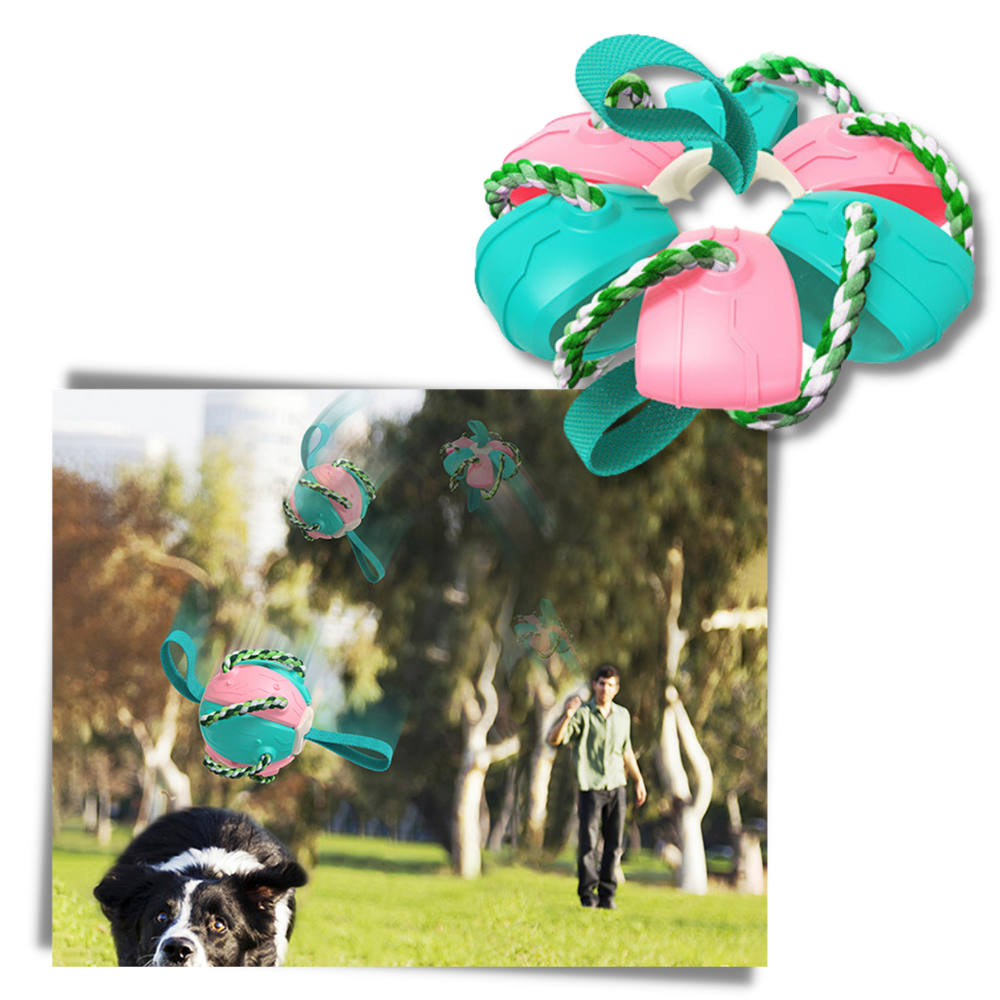 Disco de frisbee para cachorro da marca Cn, acessório para cães, com design para diversão e exercício ao ar livre.