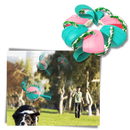 Disco de frisbee para cachorro da marca Cn, acessório para cães, com design para diversão e exercício ao ar livre.