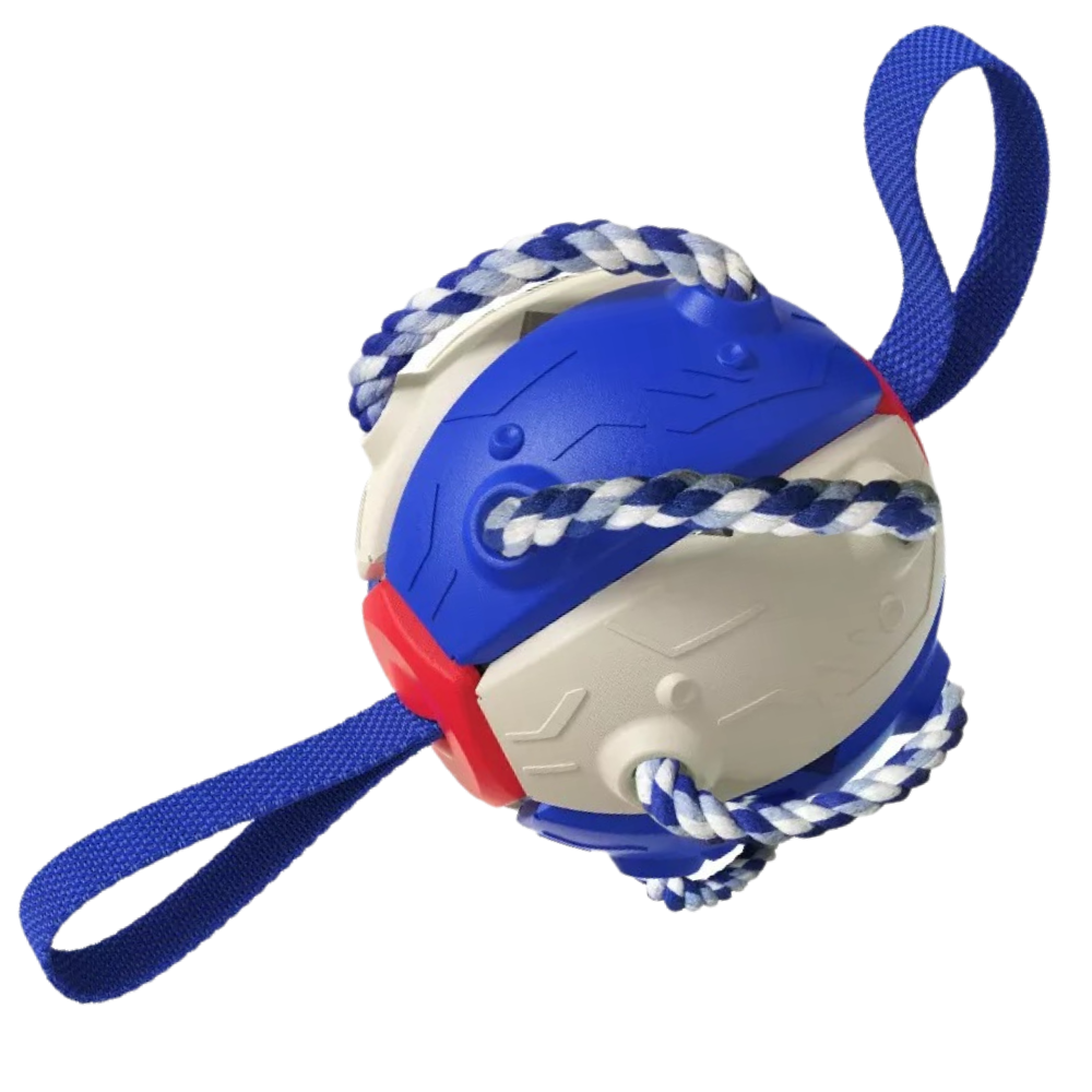 Disco de frisbee azul e bege para cães, acessório para brincadeiras ao ar livre, marca Cn.