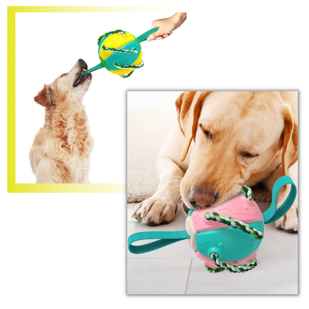 Disco de frisbee para cachorro da marca Cn, acessório para cães, com design resistente para brincar ao ar livre.