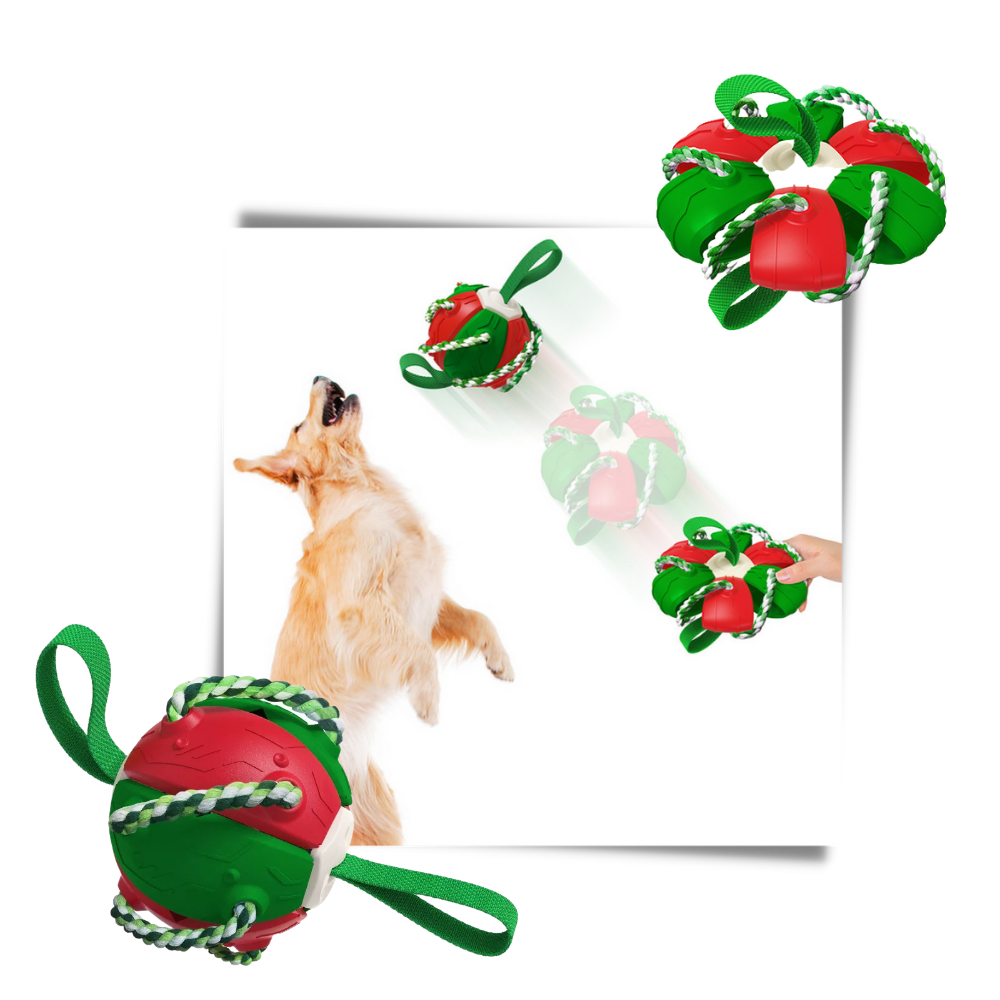 Disco de frisbee para cachorro da marca Cn, acessório canino colorido e resistente para brincar ao ar livre.