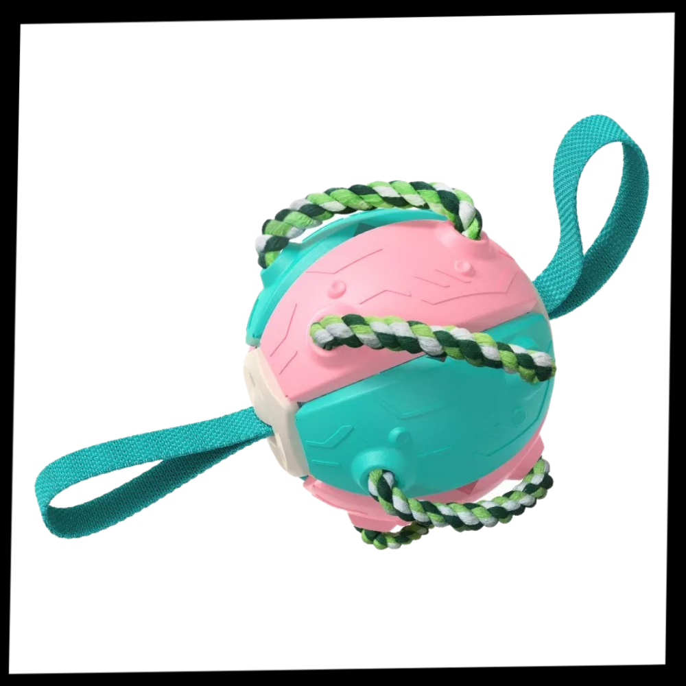 Disco de frisbee para cachorro da marca Cn, acessório para cães, com frisbee incluído, feito para brincadeiras ao ar livre.