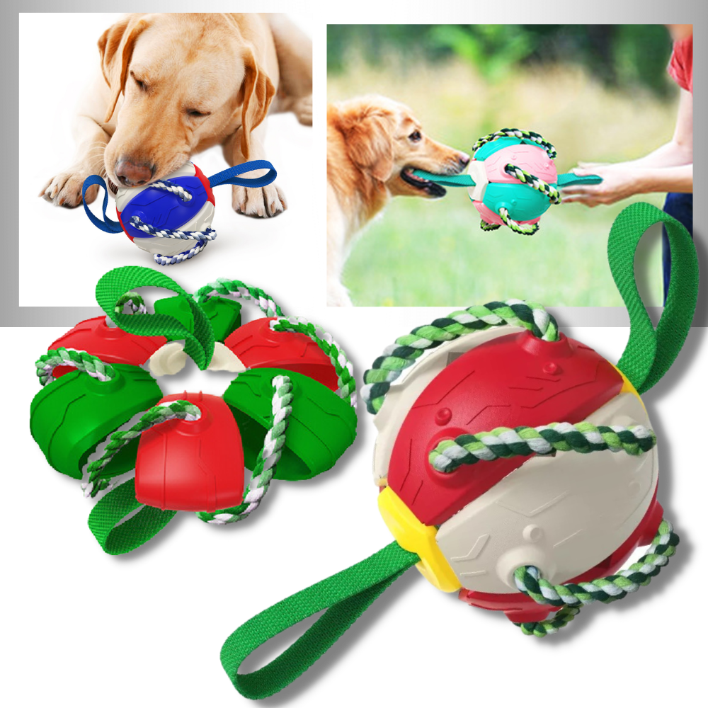 Disco de frisbee para cachorro da marca Cn, acessório para cães, feito de material leve e flexível para diversão ao ar livre.