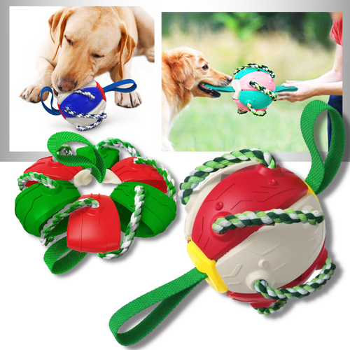 Disco de frisbee para cachorro da marca Cn, acessório para cães, feito de material leve e flexível para diversão ao ar livre.