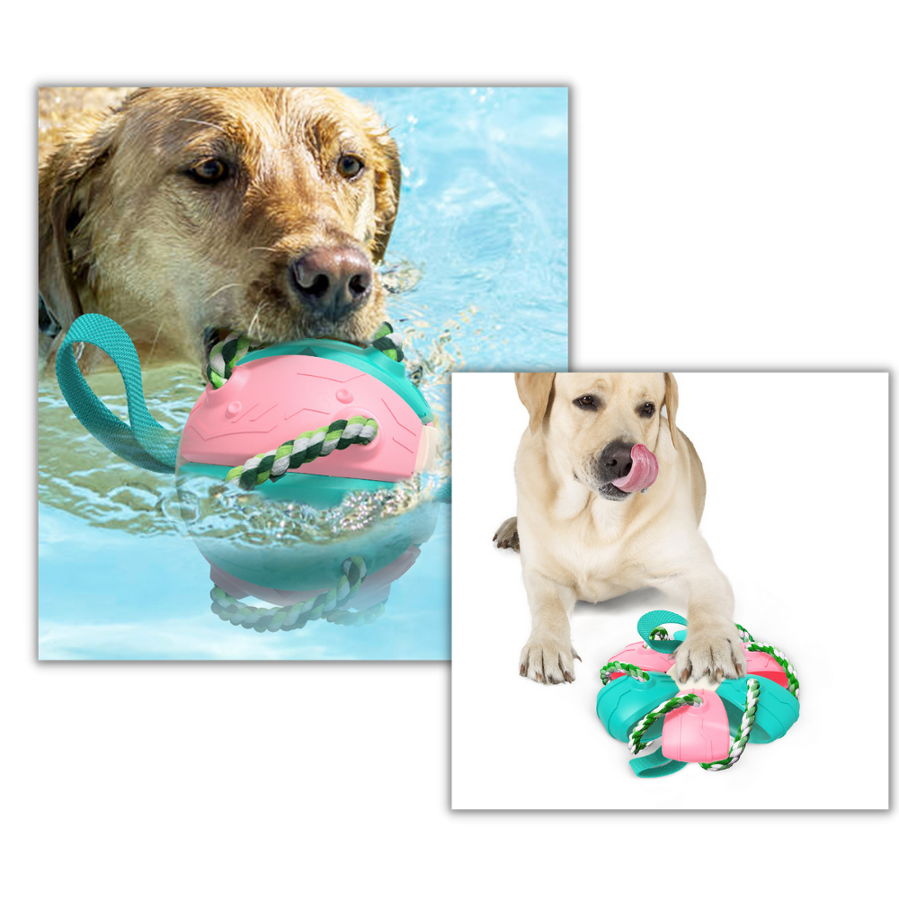 Disco frisbee para cães da marca Cn, acessório resistente para brincar ao ar livre com cães.