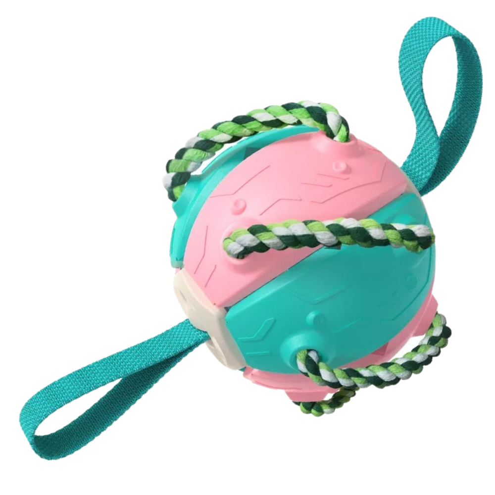 Disco de frisbee rosa e azul para cães, acessório para cães da marca Cn, feito de material durável para brincar ao ar livre.