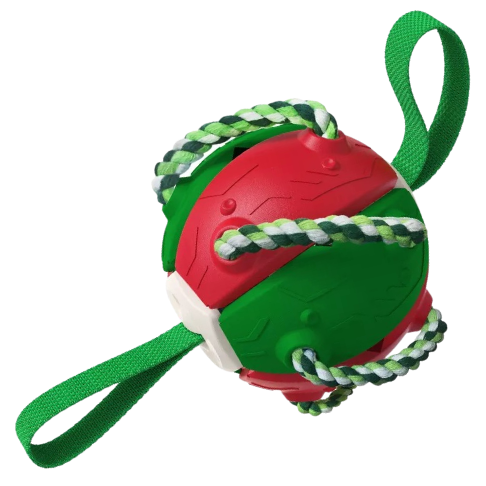 Disco de frisbee para cachorro da marca Cn, acessório para cães, em cores vermelho e verde, feito de material durável.