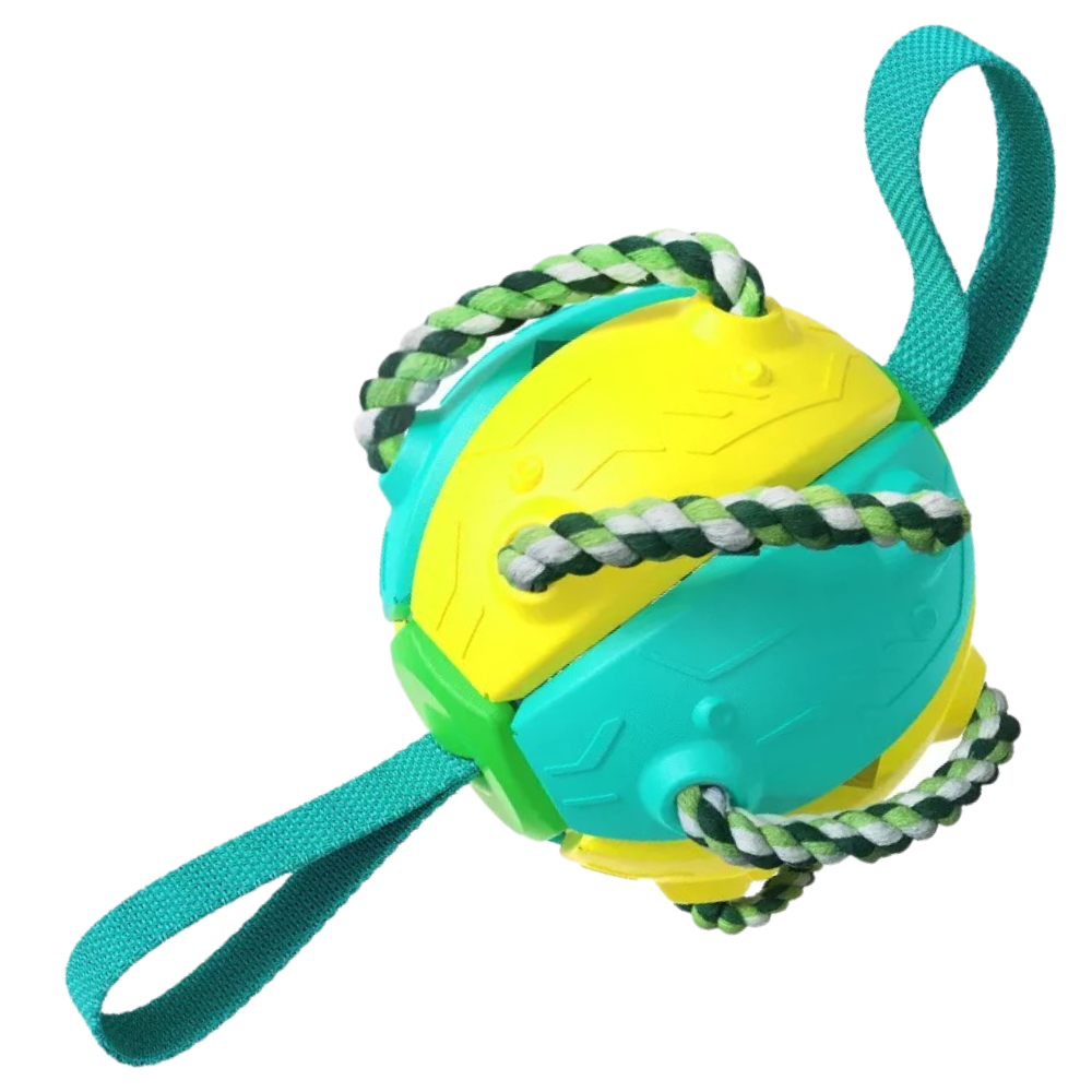 Disco de frisbee amarelo e azul para cães, acessório de brinquedo para pets da marca Cn, feito de material leve e durável.