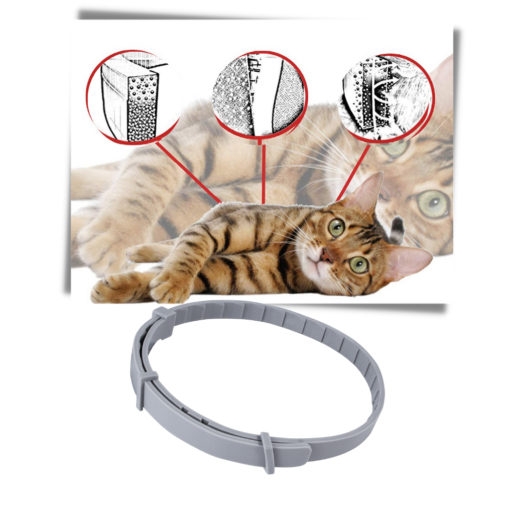 Coleira antipulgas para animais de estimação Homyl, com efeitos duradouros, parte de acessórios para pets.