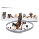 Colar antipulgas para animais de estimação da marca Homyl, com largura e aplicação ampla, visível na imagem.