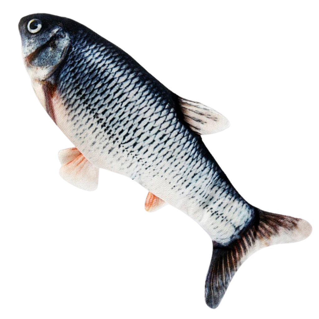 Brinquedo peixe para gato da marca Cn, acessório para estimular a brincadeira e diversão do felino.