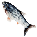 Brinquedo peixe para gato da marca Cn, acessório para estimular a brincadeira e diversão do felino.