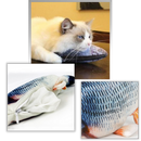Brinquedo para gato em forma de peixe macio, acessório divertido da marca Cn para estimular o brinquedo do seu gato