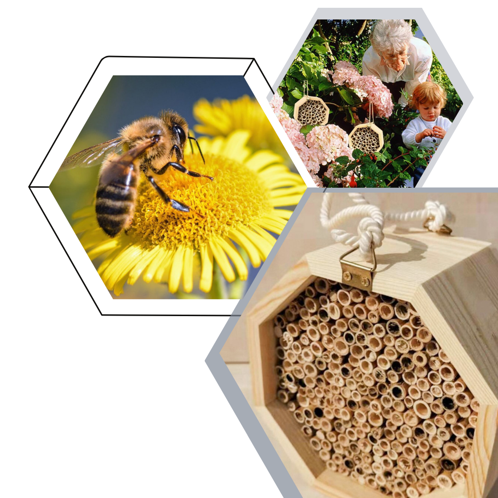 Casa de madeira hexagonal da Stibadium para abelhas, ideal para desinsetização e proteção das abelhas em ambiente natural.