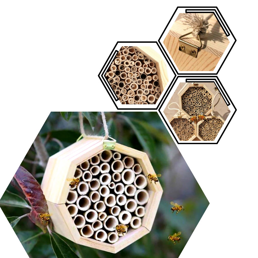 Casa de madeira hexagonal para abelhas, estrutura durável para proteção e criação de abelhas selvagens, marca Stibadium.