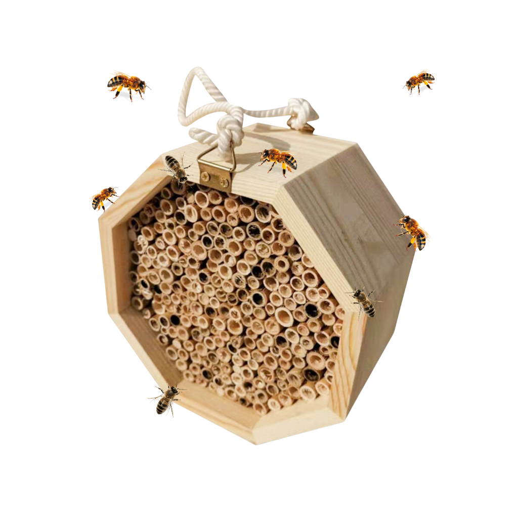 Casa de madeira hexagonal para abelhas, produto de desinsetização da Stibadium, para promover a habitação de abelhas silvestres.