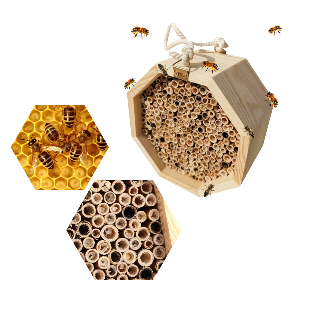 Casa de madeira hexagonal para abelhas, produto de desinsetização da marca Stibadium, ideal para hospedagem de abelhas.