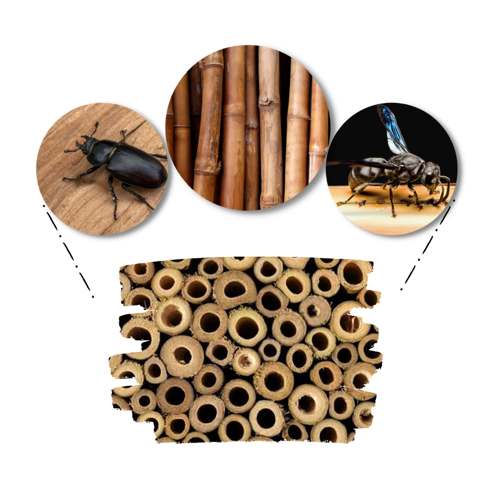 Casa de madeira hexagonal para abelhas nativas, estrutura para abelhas, marca Stibadium, com detalhes de encaixe para colmeia.