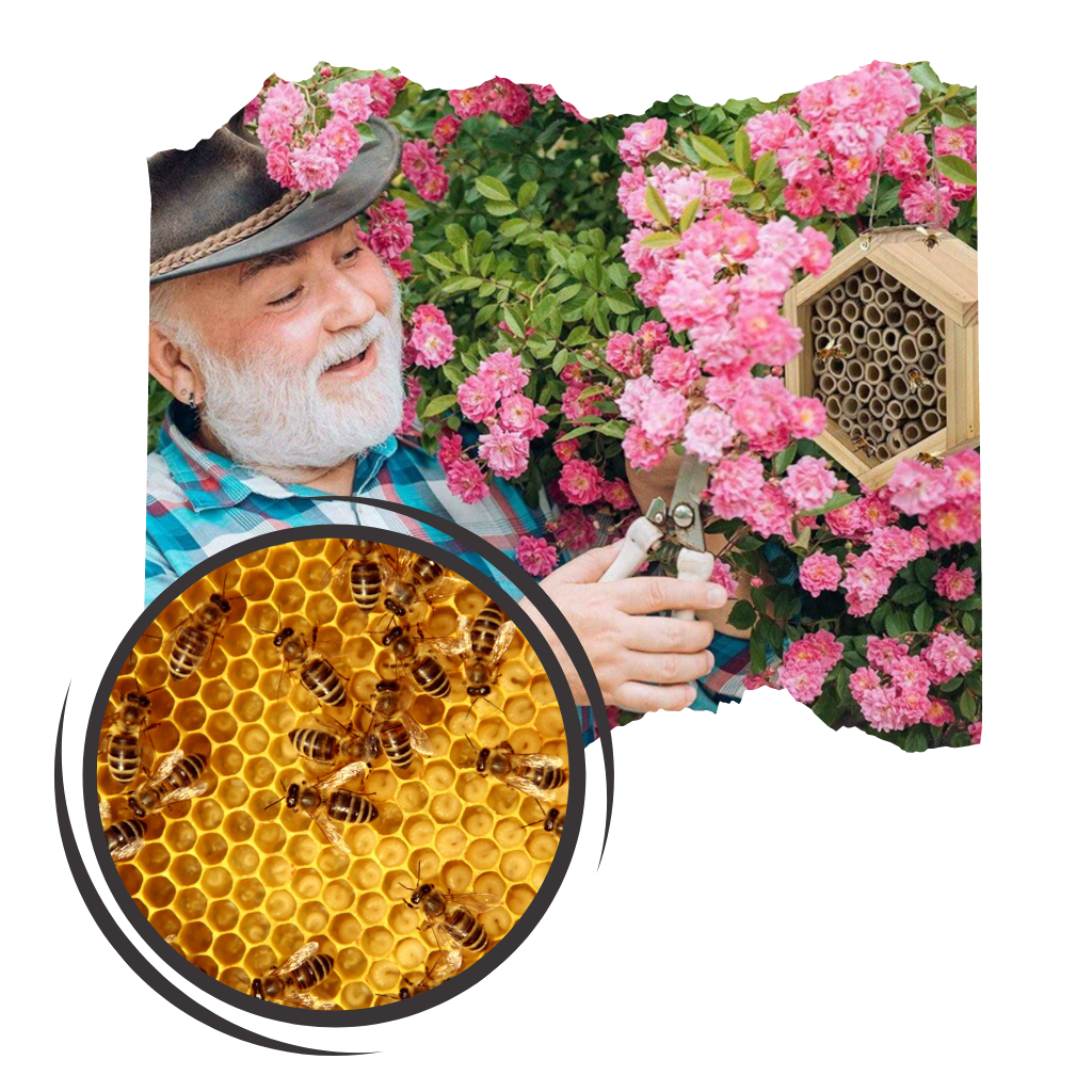 Casa de madeira hexagonal para abelhas, produto de desinsetização da marca Stibadium, ideal para jardim e proteção de abelhas.