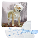 Capa de chuva com capuz para cães da marca Genwiss, impermeável e à prova de vento, ideal para proteção contra chuva.
