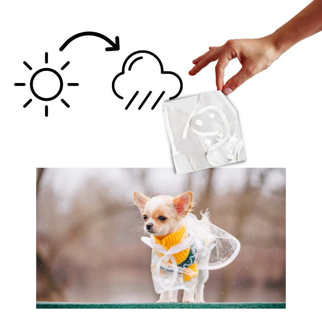 Casaco impermeável com capuz para cães da marca Genwiss, feito de material resistente à chuva, ideal para dias chuvosos.