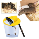 Armadilha para ratos e camundongos em balde da Bsmean, método de desinsetização, captura múltiplos roedores de forma eficaz.