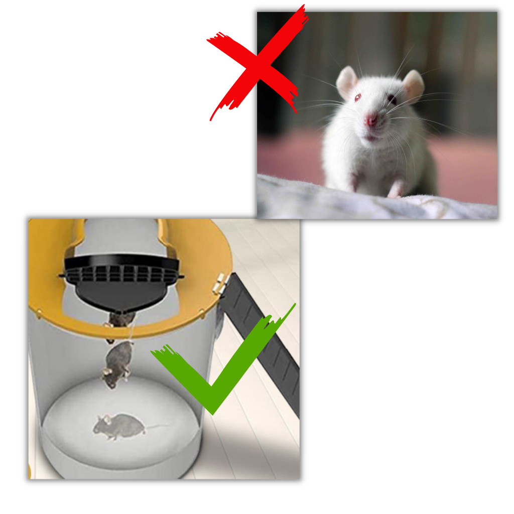 Cesto de contenção para ratos e camundongos da Bsmean, armadilha humanitária de descarte para controle de pragas.