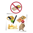 Cesto de isca para ratos e camundongos da marca Bsmean, armadilha não tóxica e segura para pets, para controle de pragas.