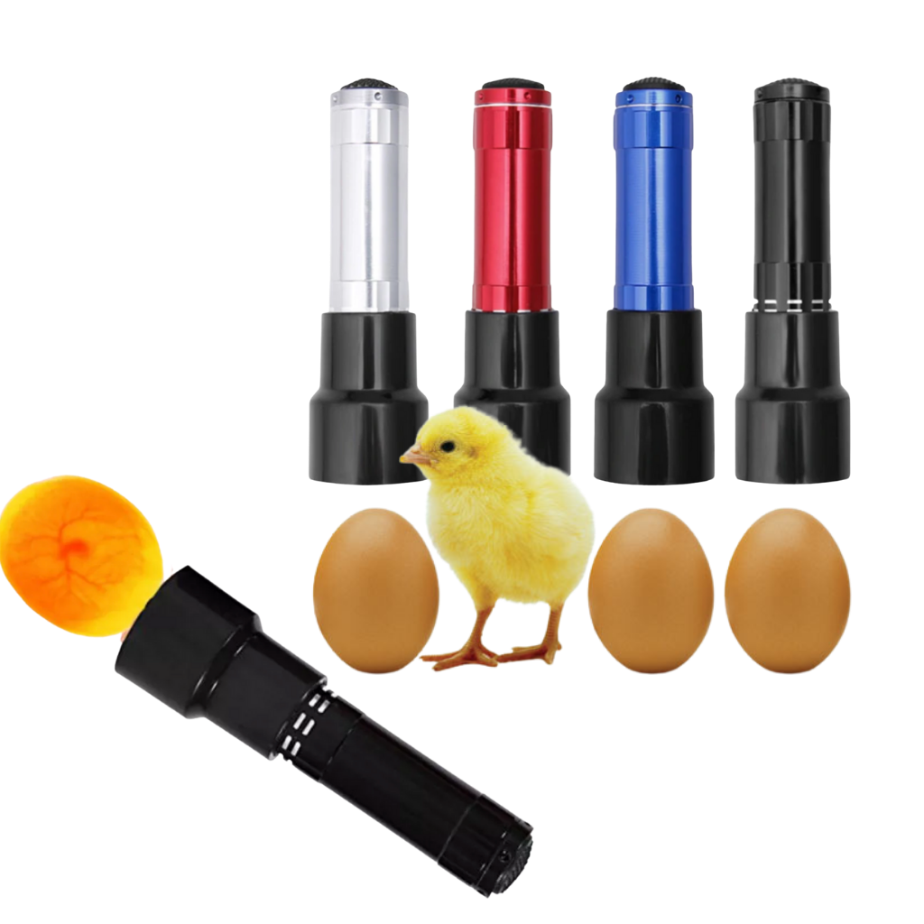 Lanterna de candling de ovos Gazechimp para incubação, com luz LED para verificar ovos durante a incubação.