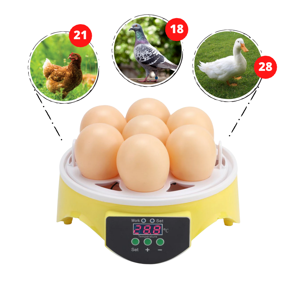 Incubadora automática Topchances para ovos com capacidade para 7 ovos, ideal para criação de aves domésticas.