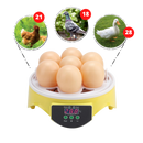 Incubadora automática Topchances para ovos com capacidade para 7 ovos, ideal para criação de aves domésticas.