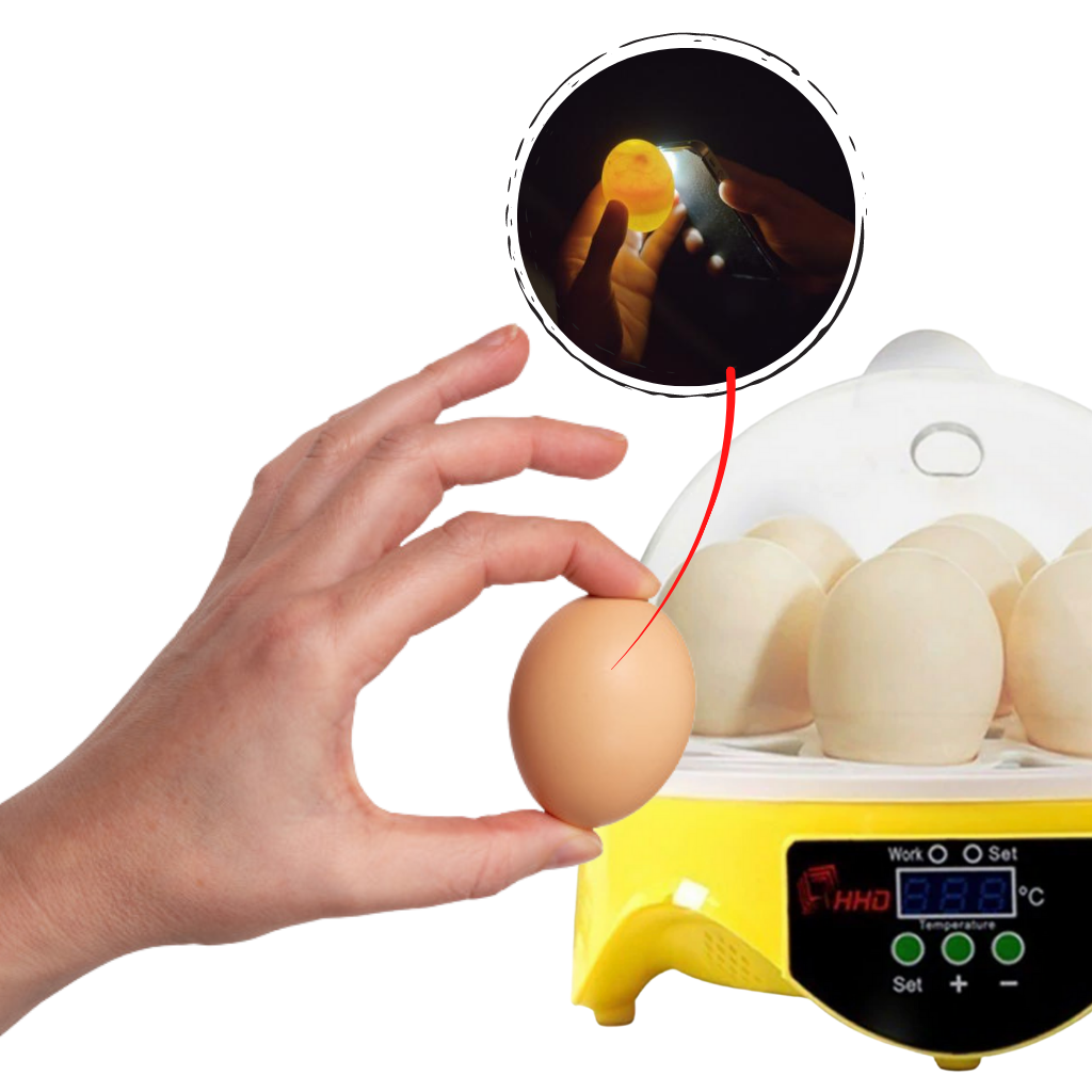 Incubador automático de ovos Mini da Topchances, aparelho compacto para incubação de ovos com controle automático.