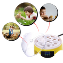 Incubadora automática de ovos mini Topchances com tampa transparente e controle de temperatura para criação de aves.