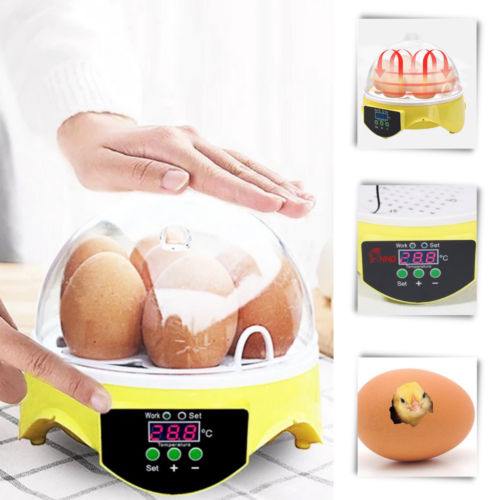 Incubadora automática de ovos Mini Topchances para criação, controle de temperatura com um clique, compacta e fácil de usar.
