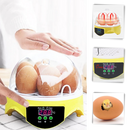 Incubadora automática de ovos Mini Topchances para criação, controle de temperatura com um clique, compacta e fácil de usar.