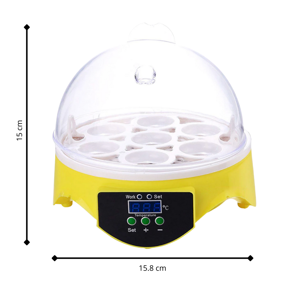 Incubadora automática de ovos Mini Topchances para incubação de ovos, com dimensões visíveis na imagem.
