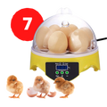 Incubadora automática mini para ovos de aves, marca Topchances, com design compacto para incubação e chocar ovos facilmente.