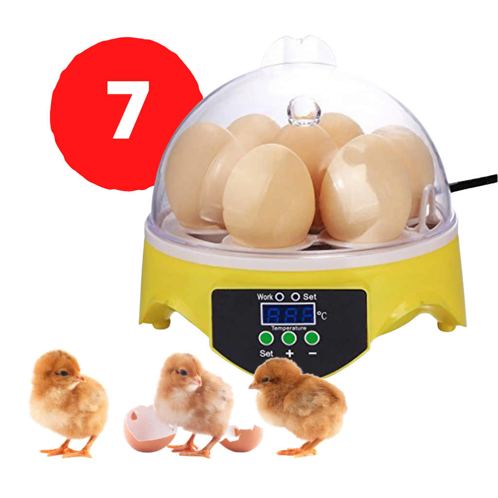 Incubadora automática mini para ovos de aves, marca Topchances, com design compacto para incubação e chocar ovos facilmente.