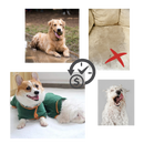 Peignoir superabsorvente Rykwurde para animais de estimação, material de toilettage, roupa de banho macia e absorvente para pets.