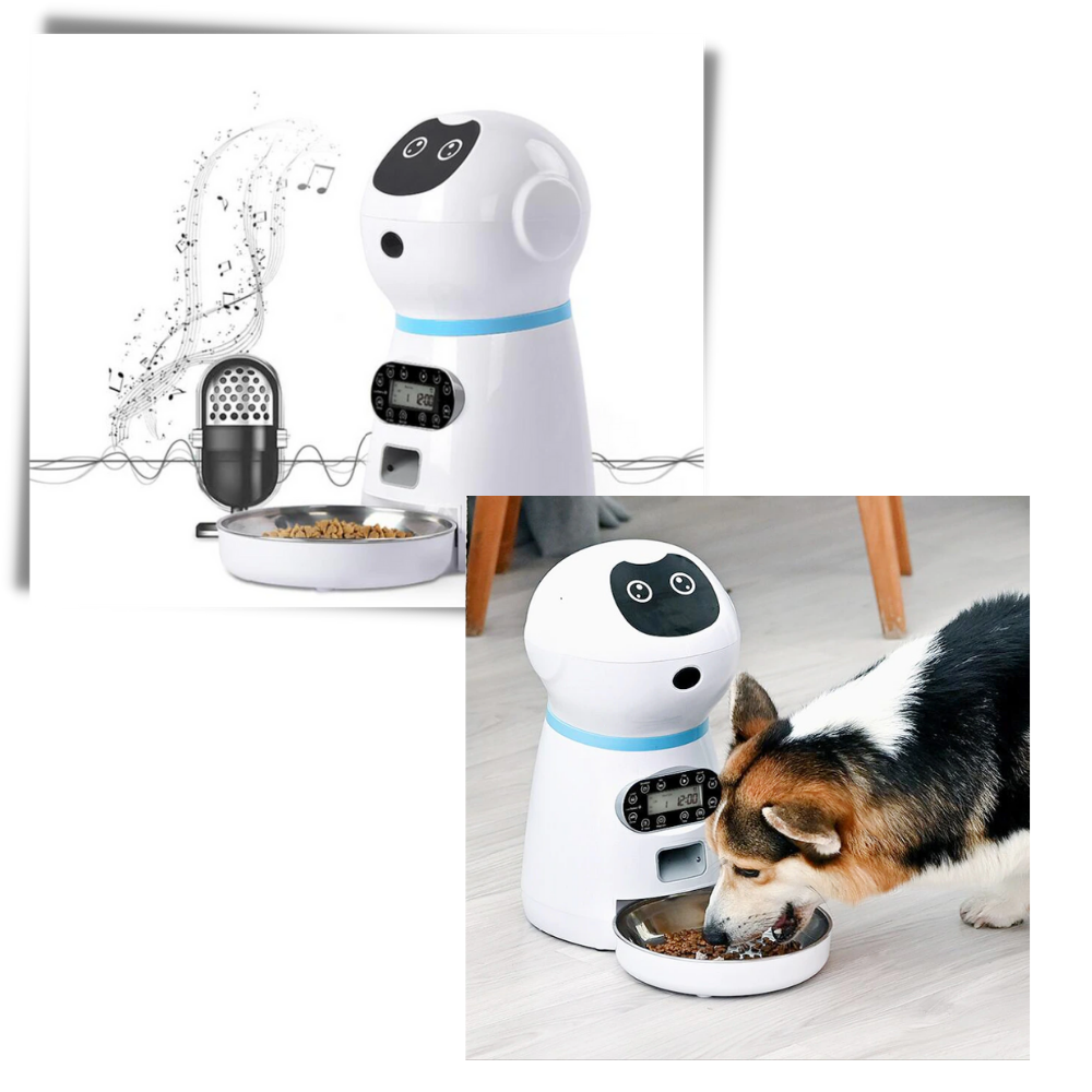 Distributeur automático de comida para animais de estimação Vedaxin, com design moderno de recipiente para alimentação.