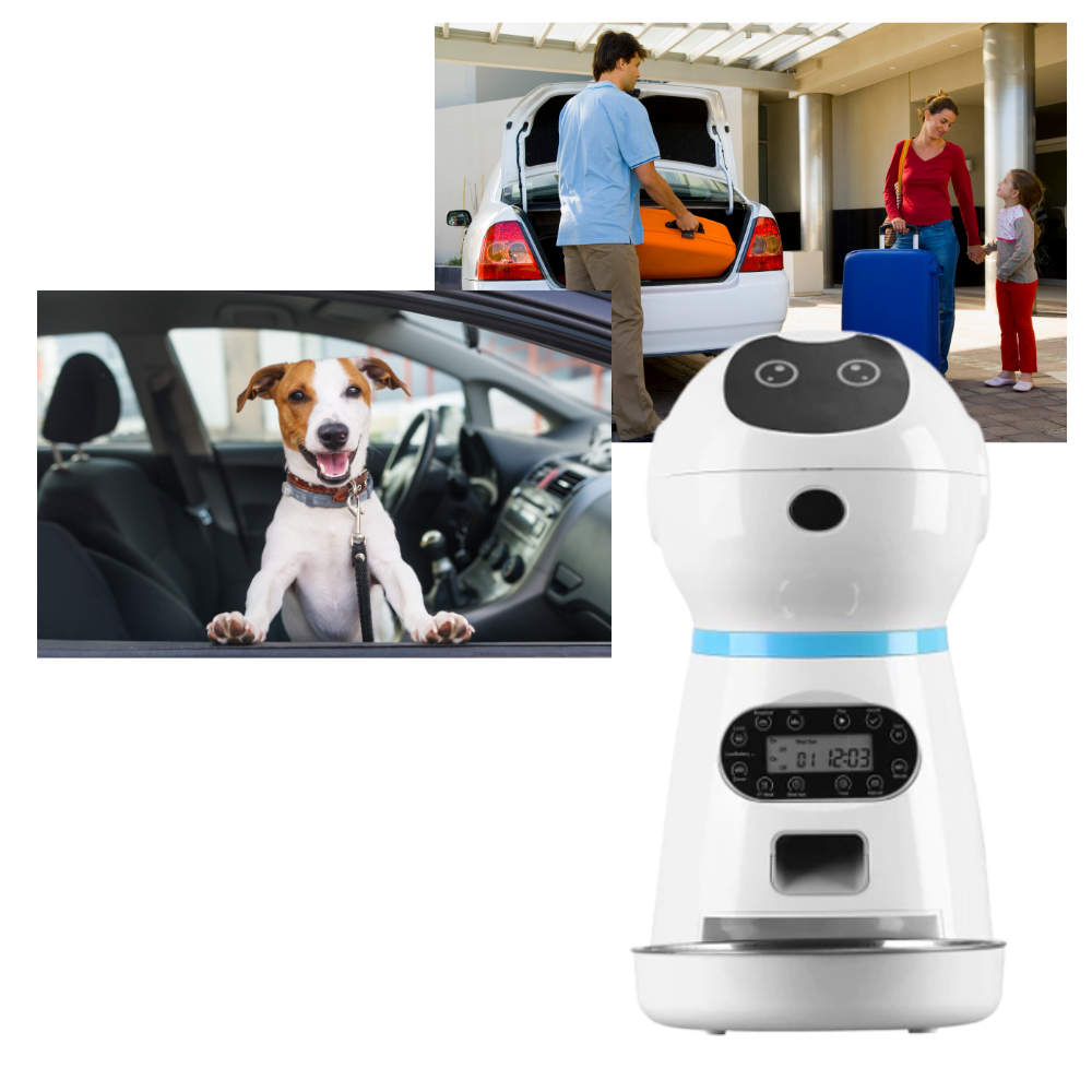 Distributeur automático de comida para animais de estimação Vedaxin, porta-porções portátil, com recipiente para alimentação e água.
