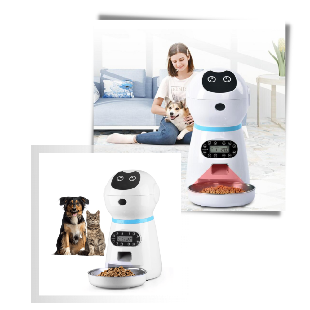 Distributeur automático de comida para animais de estimação Vedaxin, com recipiente transparente e design moderno.