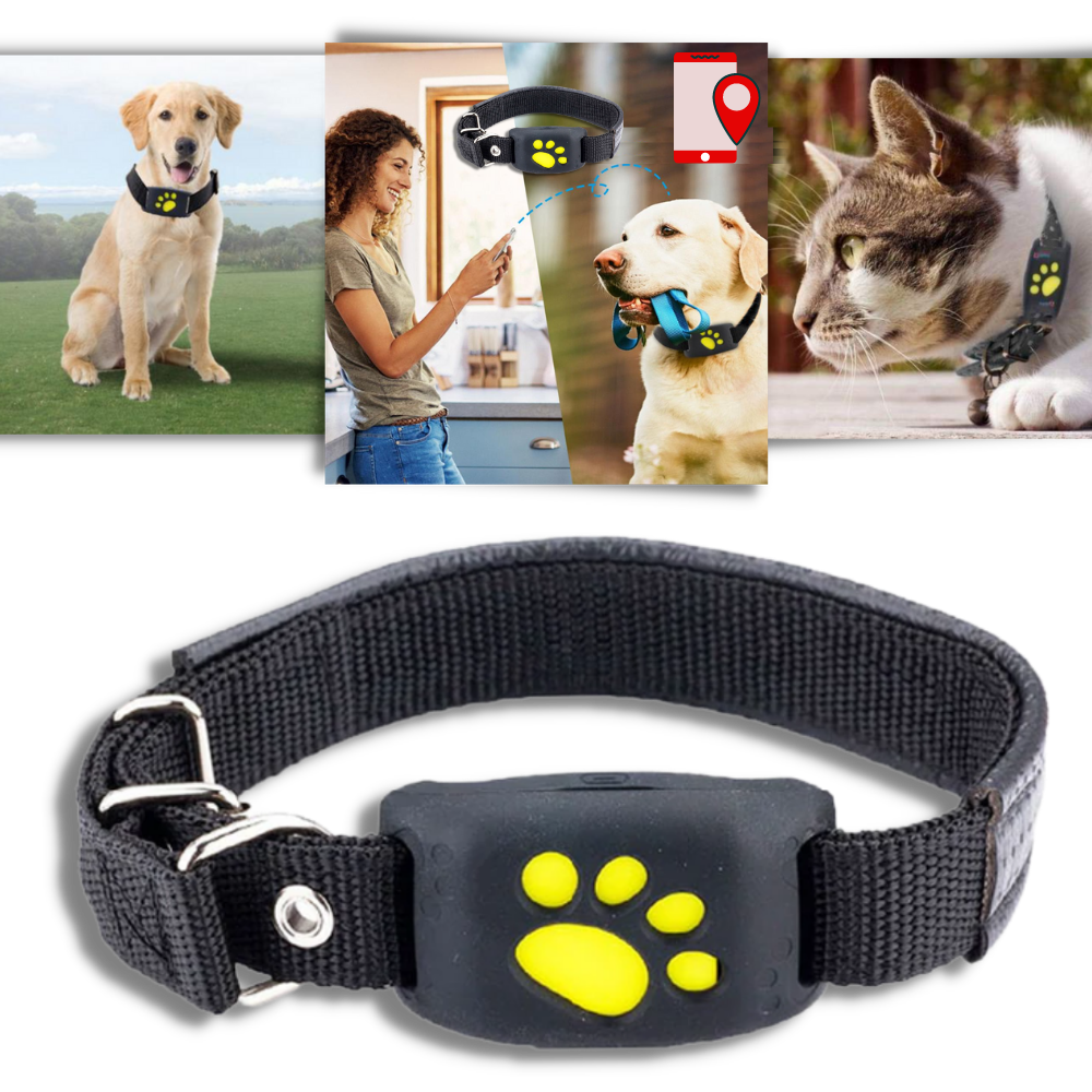 Coleira de rastreamento GPS para animais de estimação da marca Aetomce, mostrando o dispositivo de localização acoplado à coleira.