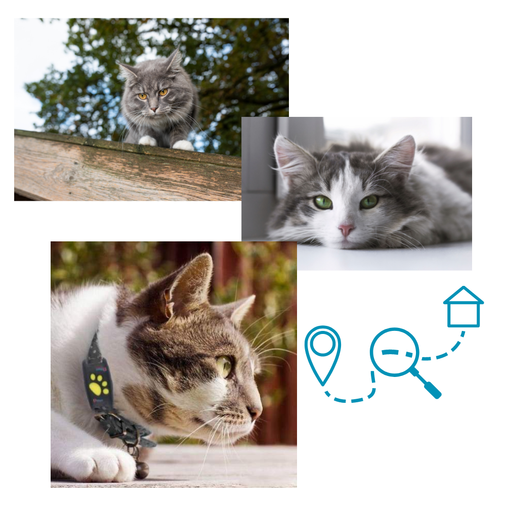 Colar de rastreamento GPS para animais de estimação da Aetomce, com dispositivo de localização portátil e design confortável.