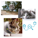 Colar de rastreamento GPS para animais de estimação da Aetomce, com dispositivo de localização portátil e design confortável.