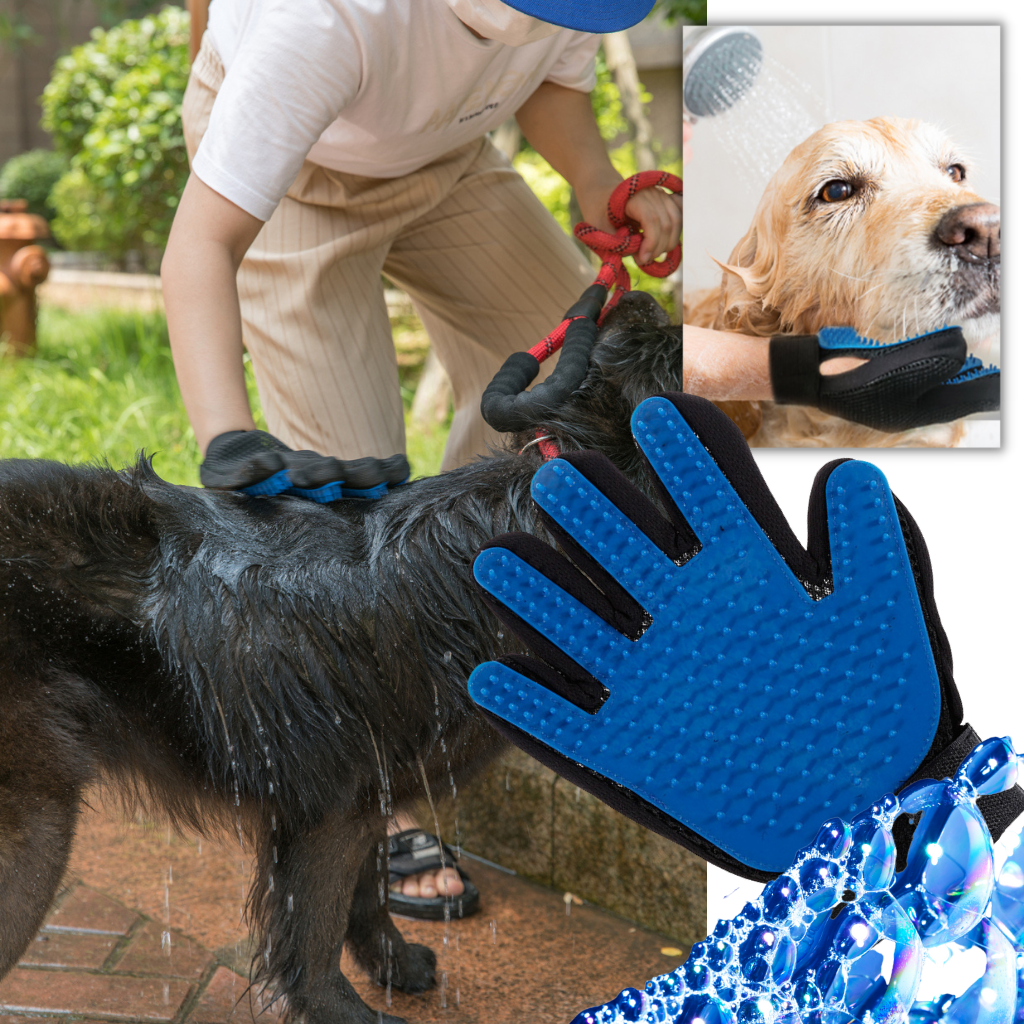 Luvas de tosa para animais de estimação da marca Coutlet, material de toalete com duas unidades, ideal para cuidados de pets.