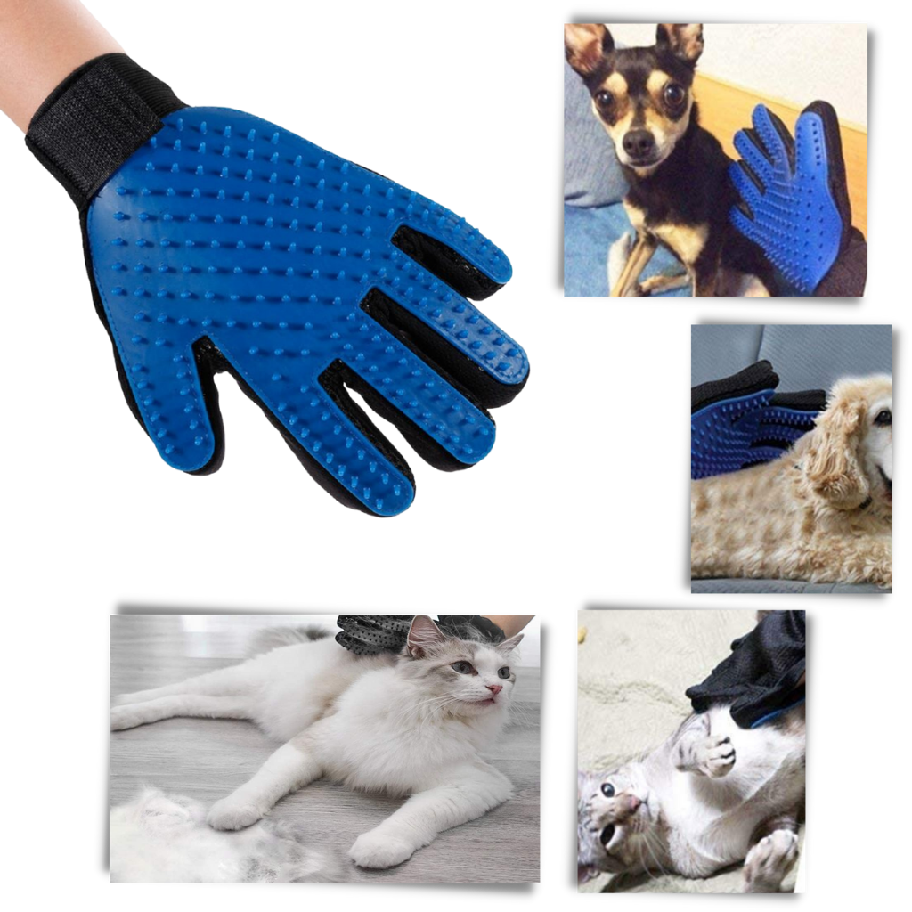 Luvas de grooming para animais de estimação da Coutlet, design de cinco dedos para escovação e cuidados de pelagem.