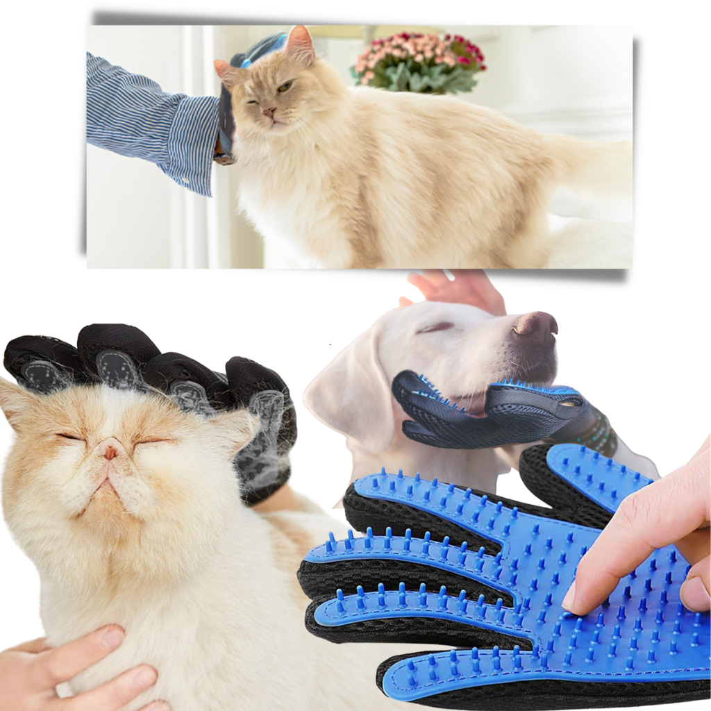 Luvas de grooming para animais de estimação da Coutlet, com cerdas para massagem e limpeza suave do pelo.